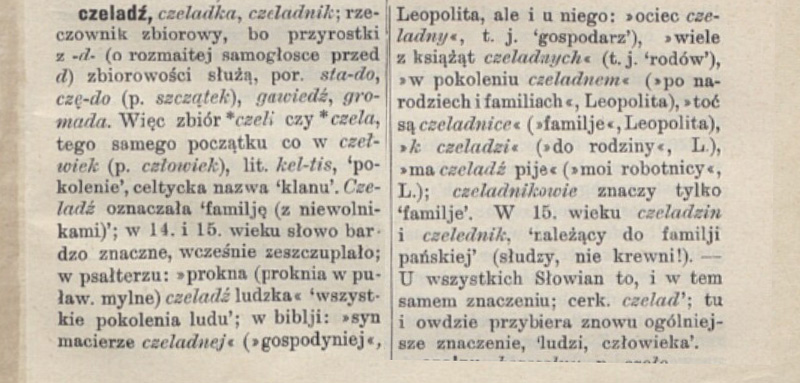 Słownik etymologiczny języka polskiego prof. Aleksandera Brücknera - nazwa miasta Czeladź